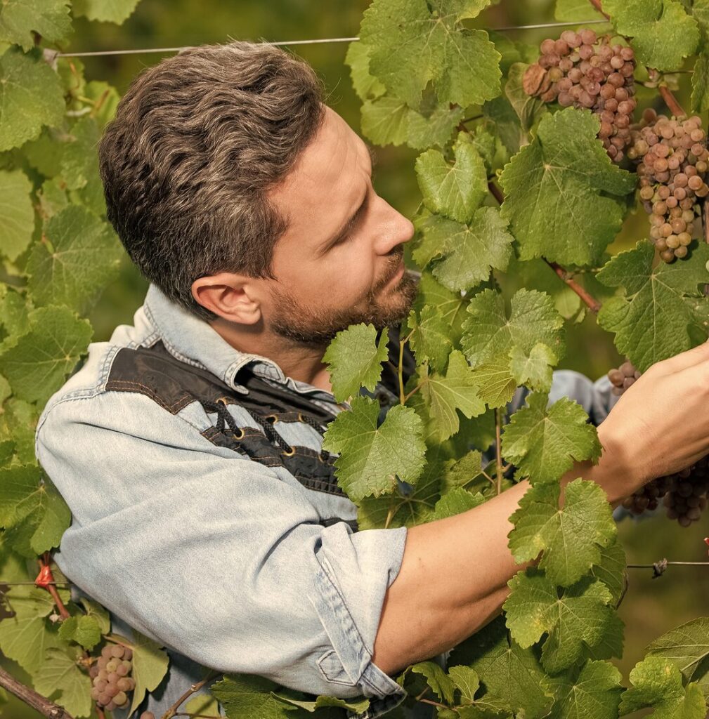 Monitoraggio tecnologico dei sistemi IT per rilevare anomalie con NextView Inside